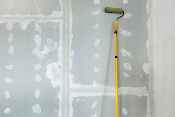  Pueblo, CO Drywall & Painting Services Pros